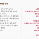 내린천약초 Daum카페