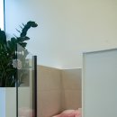 도그리아 이미지