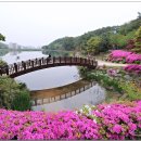 설봉공원 이미지