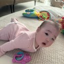 (주)바라보다트립 | [육아로그] 24주차 성장일기 (167일~173일)