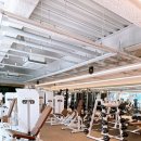 짐에센셜 이미지