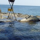 후루사토 이미지