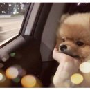 태화목욕탕 이미지