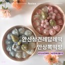 꽃잎 | 안산 상견례 답례떡 뽁떡방 꽃잎송편바람떡 내돈내산 후기