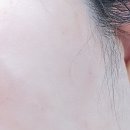 로즈레미 이미지