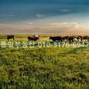 대형농장 이미지