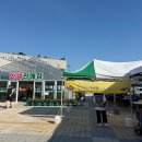 청포대마트 | [태안 여행] 청포대 해수욕장 로컬푸드 직매장 회 포장 & 한식뷔페 후기