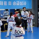 센스바운스 이미지