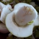 율촌농장 이미지