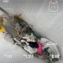 율포씨 | 씨:큐리티(Sea:curity) 서포터즈 2회차 활동 - 보성 율포해수욕장 2회차 정화 활동을 진행하며