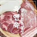 [하남 맛집] 육&amp;육 :: 삼겹살&amp;통항정살, 미사 고기 맛집