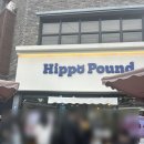 히포파운드 | 전주 빵지순례 히포파운드 웨이팅 후기