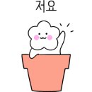 루시플랜트
