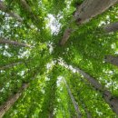 서동선화 한옥체험민박 이미지