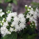 경안천누리길 이미지