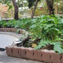 자라경로당 이미지