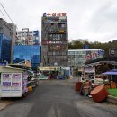 모항유통