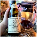 보졸레누보(Beaujolais nouveau) 이미지