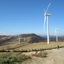 영월청령포 이미지