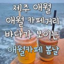 애월뷰 | 제주 애월 오션뷰 카페 봄날 솔직후기 | 내돈내산 리얼리뷰