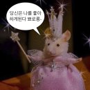 위시 버블 기념 버블 하는법 / lysn / 엔시티위시 오시온,마에다 리쿠 / 엔시티 버블 구독 하는법