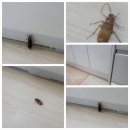 부흥로315번길 18 이미지