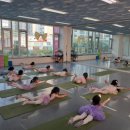 샤론무용학원: 당신의 꿈을 춤으로 표현하세요