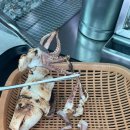 부산가족여행/울산가족여행/극동곰탕/미포횟집/해담원/요트다 요트투어/부산호텔위드/간절곶/간절곶카페