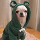 무인빈티지샵 이미지