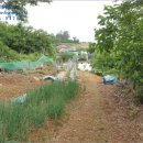 장산마을회관 내 이미지