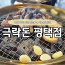 토토한우식당 | [평택 맛집] 극락돈, 참숯 향 가득한 무항생제 고기 맛집! 가족모임·단체모임까지 완벽 👍