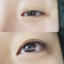 오래쉬(OLASH)