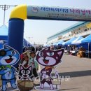 서천-20 이미지
