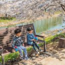 황구지천 이미지