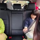 동강원한약 | 휘닉스 평창 리조트 패키지 오렌지동 스탠다드 침대 노후도 소음 숙박 후기 장단점