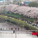 온천천일대3 이미지