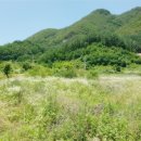 광릉불고기(포천점) 이미지