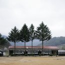 원당초 생둔분교장 이미지