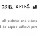 박여사삼계탕