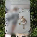 롯데리아 아산용화점 이미지