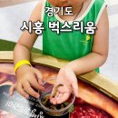 시흥 벅스리움 주차 평일 예약 휴게시간 총정리