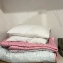 나무게스트하우스 | 광주 여행, 호랑가시나무 언덕 게스트하우스 숙박 후기