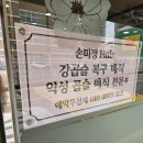손미정헤어플러스