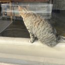 남산지구대 | 🏕️ 가평 | 캠핑은 추워야 제맛이라구