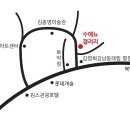 수애뇨339 이미지