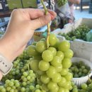 카페 휘가람 이미지