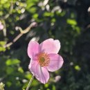 버튼호텔 이미지