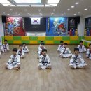 쌍호태권도장 이미지