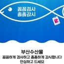 부산수산물 아시아경제