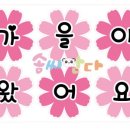 솜씨판다